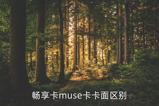 畅享卡muse卡卡面区别