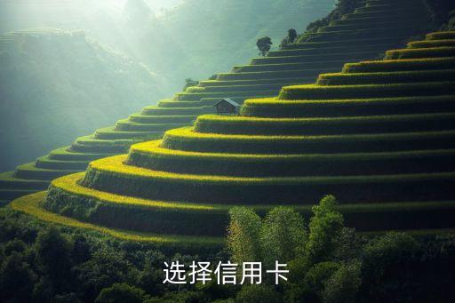 一年类申请几次信用卡较好,一年能办几张信用卡?