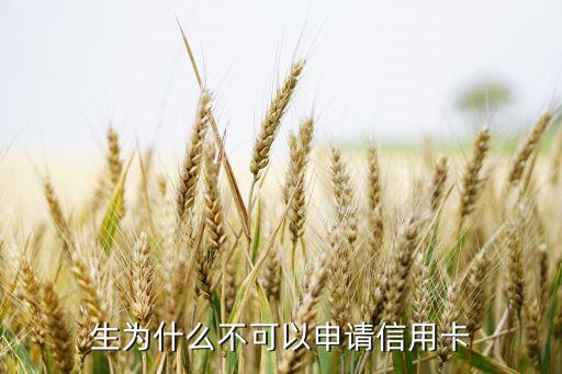哪些群体不能申请信用卡,哪些信用卡好办?