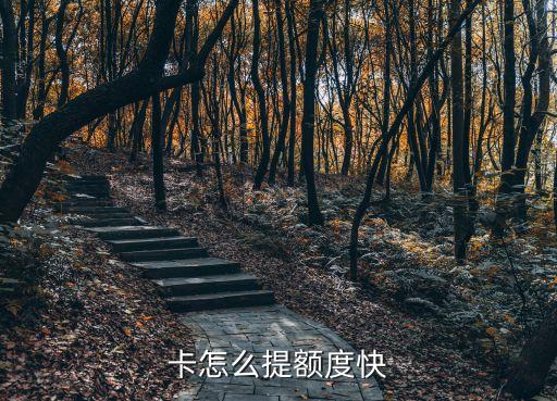 卡怎么提额度快