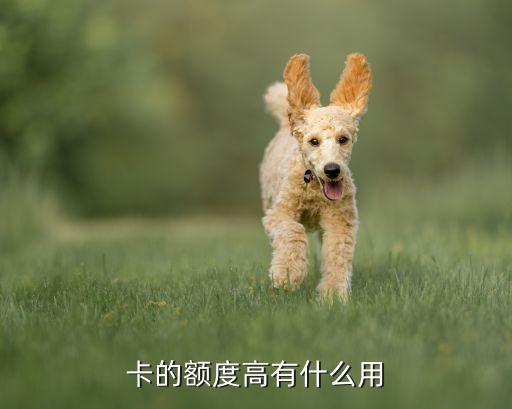 为什么拥有信用卡额度高,为什么信用卡还款没有限额?