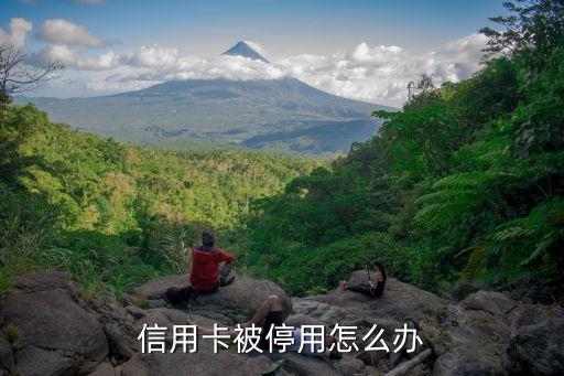 信用卡被停但额度较低,信用卡为什么停了?