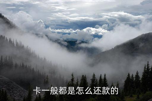 卡一般都是怎么还款的