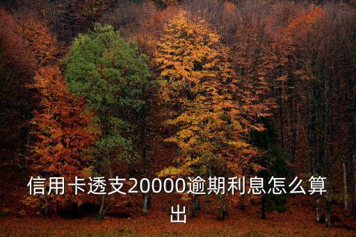 信用卡透支20000逾期利息怎么算出