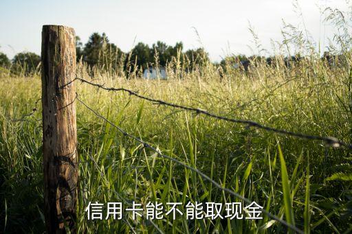 信用卡能不能取现金