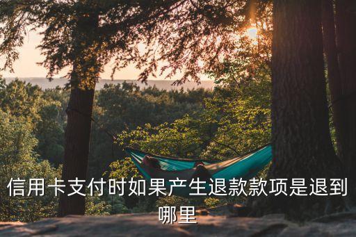 用信用卡还款后商家退款退到哪里,信用卡还款后出现退款怎么办?