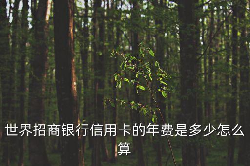 世界招商银行信用卡的年费是多少怎么算