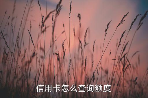 信用卡怎么查询额度