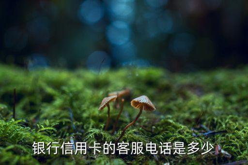 开发银行信用卡客服,国家开发银行电话人工客服