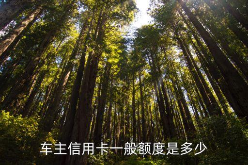 车主信用卡一般额度是多少