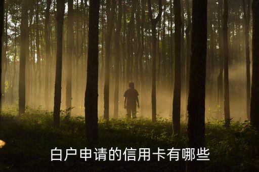 白户申请的信用卡有哪些
