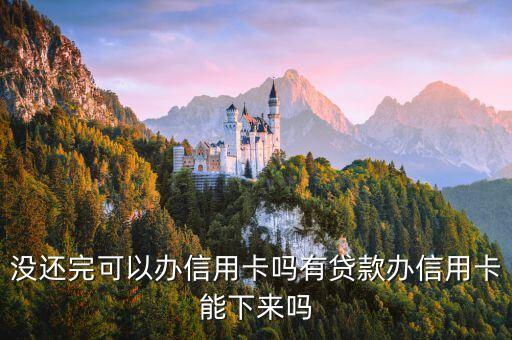 欠的有钱可以申请信用卡,欠了贷款可以申请信用卡吗?