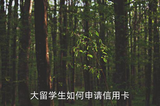 加拿大网购信用卡申请,818,在加拿大应该用什么信用卡?