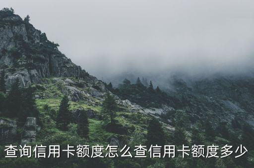 查询信用卡额度怎么查信用卡额度多少