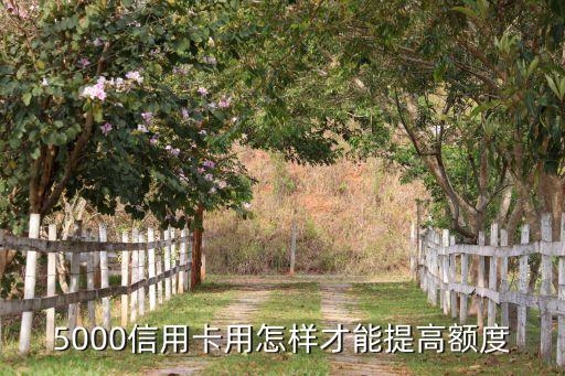 5000信用卡用怎样才能提高额度