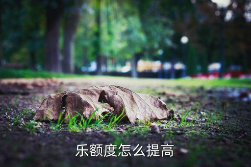 乐额度怎么提高