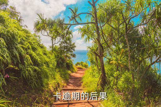 卡逾期的后果