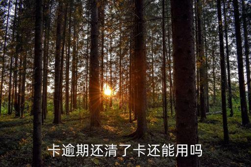 卡逾期还清了卡还能用吗