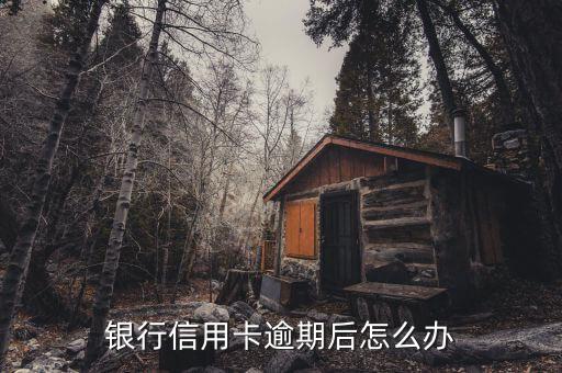 银行信用卡逾期后怎么办