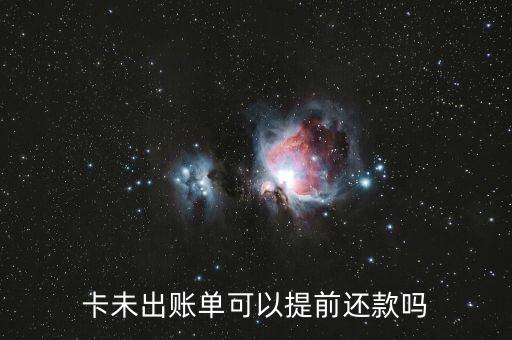 卡未出账单可以提前还款吗