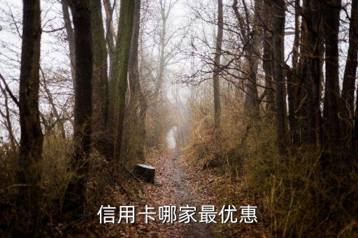 信用卡哪家最优惠