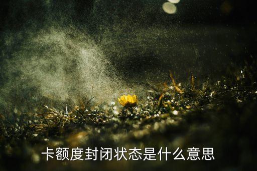 卡额度封闭状态是什么意思