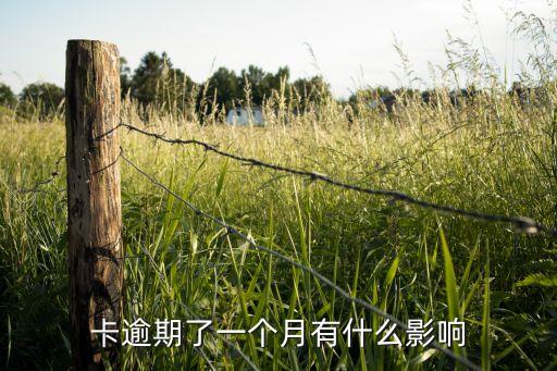 卡逾期了一个月有什么影响