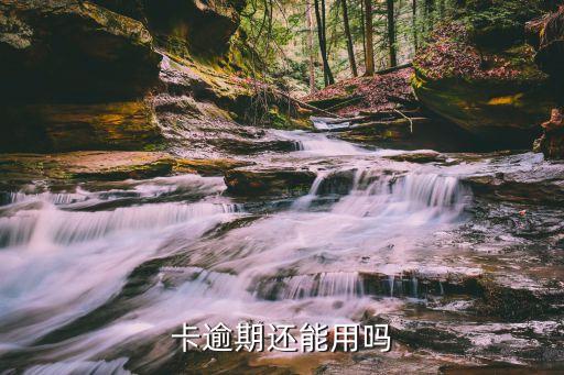 卡逾期还能用吗