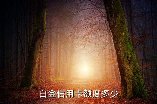 招行钻石白金信用卡额度,招商银行钻石白金卡